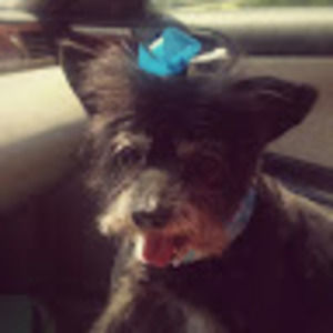 Meet your Posher, Lynn